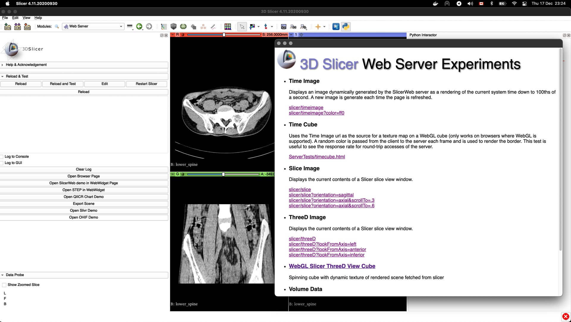 Slicer Web